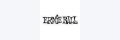 Ernie Ball