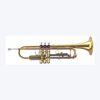 Roy Benson Bb Trompete TR-202