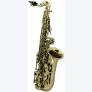 Roy Benson Kinder Alt Saxophon AS-201