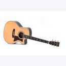 Sigma SGRC-41E  Custom Gitarre