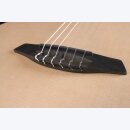 Furch GnC 2 SWa E Klassikgitarre