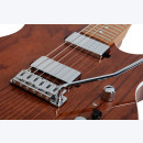 SCHECTER  PT Van Nuys