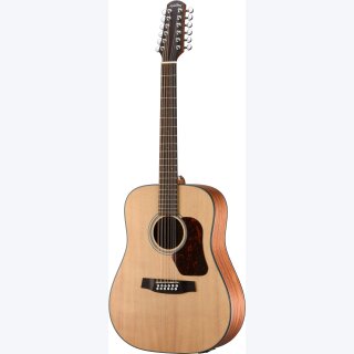 Walden D552 EW  Westerngitarre