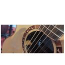 Crafter STG G16CE PRO Gitarre
