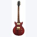 Slick SL 60 CA E Gitarre