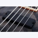 Schecter C5 Standard 5 E-Bass