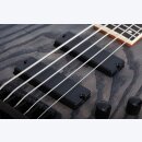 Schecter C5 Standard 5 E-Bass