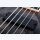 Schecter C5 Standard 5 E-Bass