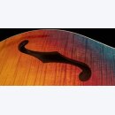 PRS SE Ed Sheeran Kaleidoscope