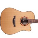 Crafter D18CE Pro